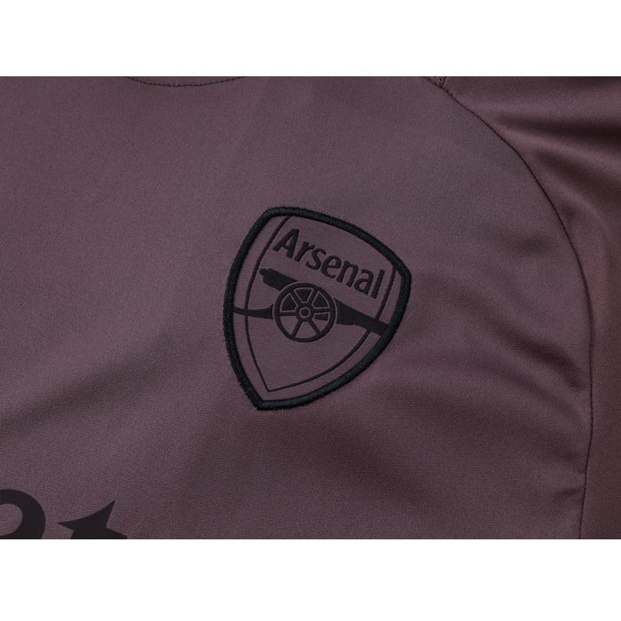 Chandal del Arsenal Manga Corta 24-25 Gris Purpura - Pantalon Corto